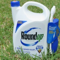 Five reasons why Roundup should be banned forever 